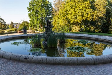 Nilüfer çiçek havuzda. Park.City Laval.France.