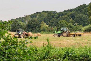 Traktör saman alanından kaldırır.