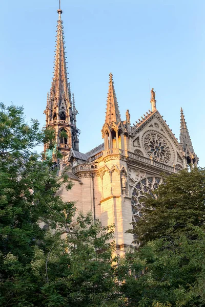 巴黎圣母院 2018年8月2日 法国巴黎 — 图库照片