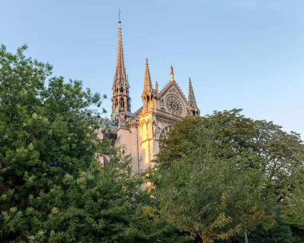 巴黎圣母院 2018年8月2日 法国巴黎 — 图库照片