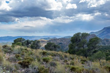 Barrancas de Gebas. Kanyon. Totana. Murcia. İspanya.