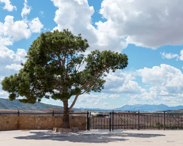 Cubierta Observación Castillo Aledo Totana Murcia España — Foto de Stock