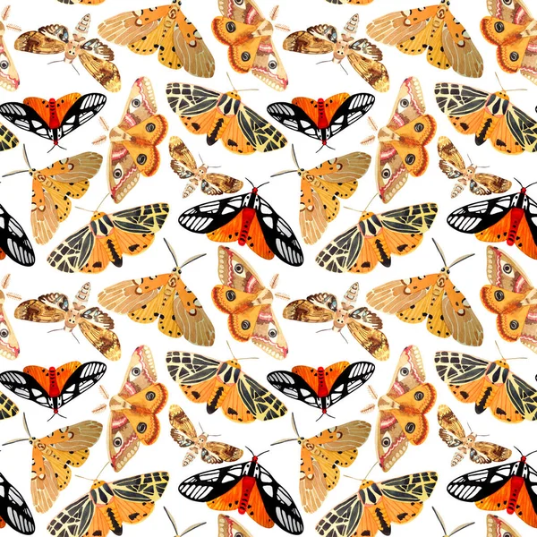 Print Tropical Butterflies White Background Watercolor Hand Drawn Seamless Pattern — Stock Photo, Image