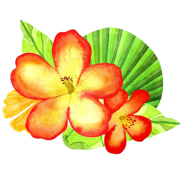 Fiori Tropicali Clipart Acquerello Disegnato Mano Composizione Con Ibisco Esotico — Foto Stock