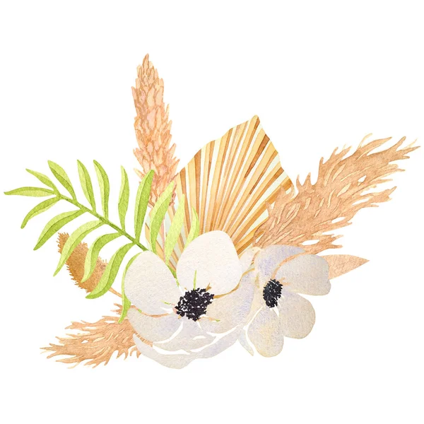 Složení Sušenými Květy Sasankou Izolovanou Bílém Pozadí Ručně Kreslené Akvarely — Stock fotografie