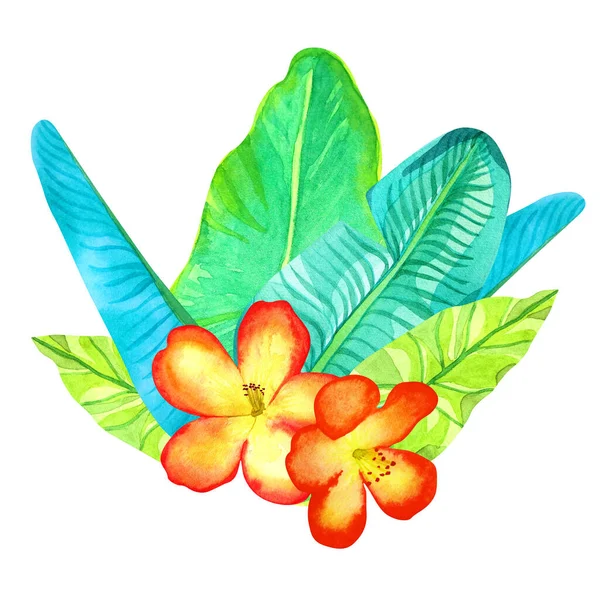 Akvarel Tropické Dekorativní Prvek Květinami Izolované Bílém Pozadí Složení Jasnými — Stock fotografie