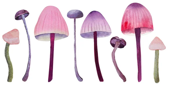 Set Acquerello Disegnato Mano Con Funghi Insoliti Isolati Sfondo Bianco — Foto Stock