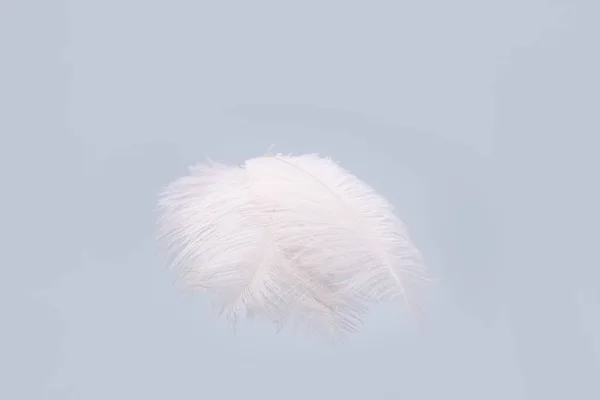 Feathers Floating Copy Space — Stock Photo, Image
