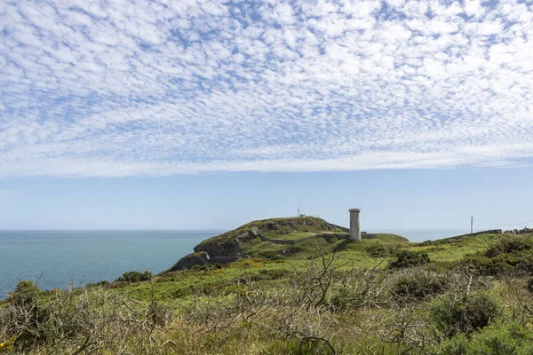 Gammal Fyr Irlands Kust Länet Wicklow — Stockfoto