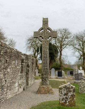 Monasterboice, kilise harabeleri, yuvarlak kule ve Kelt haçlarıyla dolu bir ortaçağ sahası..