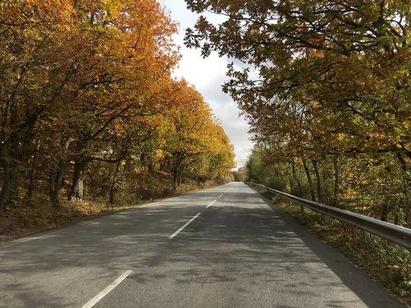 Driving Autumn Landscape Bulgaria — Stock Photo, Image