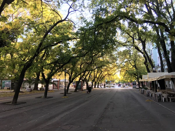 Tsar Simeon Veliki Boulevard Stara Zagora Bulgarien — Stockfoto