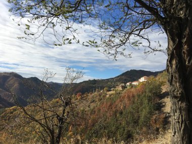 Bulgaristan 'da sonbahar manzarası