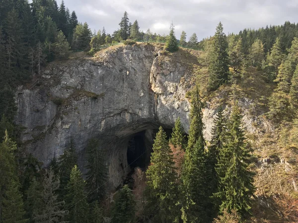 Poduri Minunate Arcade Naturale Munții Rodopi Din Sudul Bulgariei — Fotografie, imagine de stoc