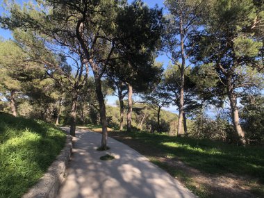 Hırvatistan 'da park marjından geçen yol