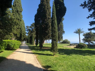 Split Hırvatistan 'daki Anıt Park Şüphelisi