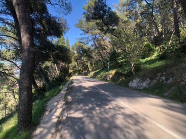 Split Hırvatistan 'daki Marjan Orman Parkı' ndan geçen yol