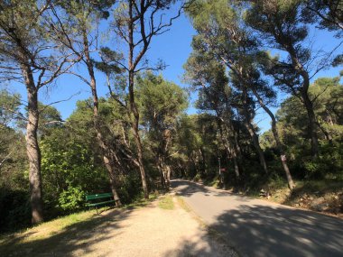 Split Hırvatistan 'daki Marjan Orman Parkı' nda park bankında