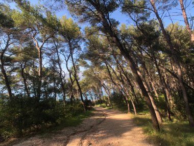 Split Hırvatistan 'daki Marjan Orman Parkı