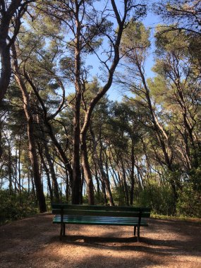 Split Hırvatistan 'daki Marjan Orman Parkı' nda park bankında
