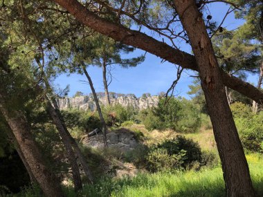 Hırvatistan 'ın Split kentindeki Kasjuni plajı çevresindeki doğa