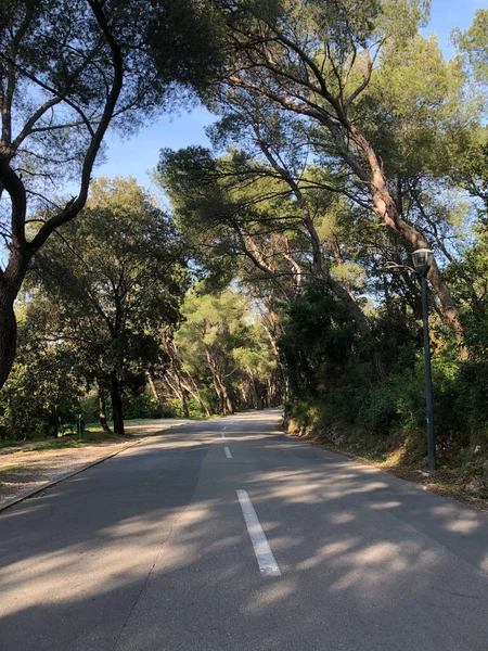 Road Though Park Forest Marjan Split Croatia — Stock Photo, Image