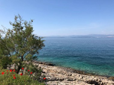 Hırvatistan 'ın Brac adasındaki Sutivan kenti civarındaki sahil