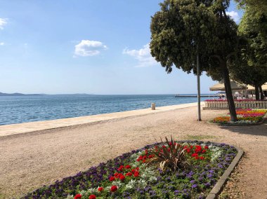 Zadar Hırvatistan 'ın Rıhtımı