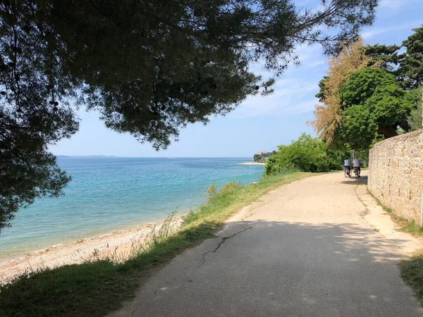 Andar Bicicleta Longo Costa Zadar Croácia — Fotografia de Stock