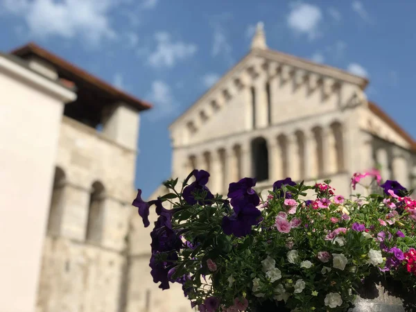 Zadar Hırvatistan 'daki St. Chrysogonus Kilisesi önünde çiçek