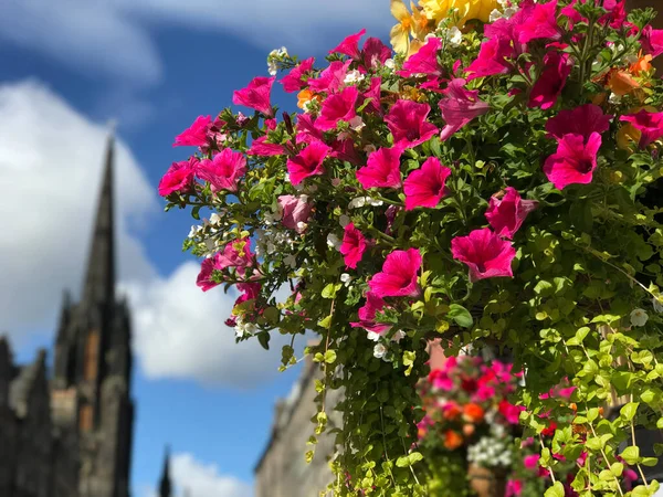 Colorful flowers with the Hub, Assembly Hall in the background in Edinburgh, Scotlan