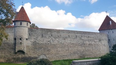 Sazlığın arasında bir tekne. 