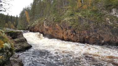 Oulanka Ulusal Parkı 'ndaki vahşi nehir Finlandiya