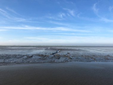 Wadden Denizi. Friesland 'da sular çekildiğinde. Hollanda.