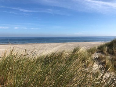 Friesland 'daki Ameland Adası' ndaki plaj. Hollanda.