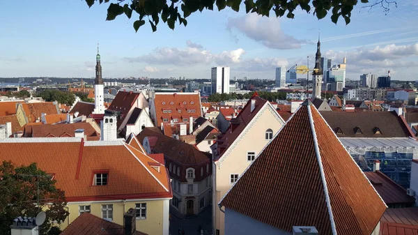 Informacje Ogólne Starego Miasta Tallin Estonia — Zdjęcie stockowe