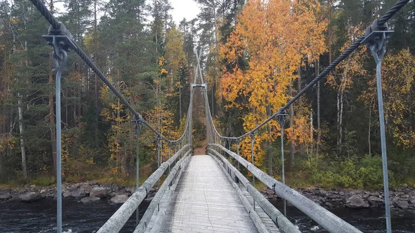 Pont Sur Une Rivière Dans Parc National Patvinsuo Finlande — Photo