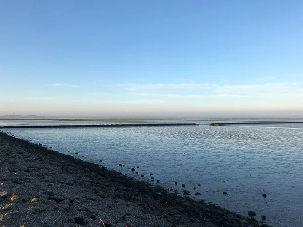 Низький Приплив Вадденському Морі Фрісландії Нідерланди — стокове фото