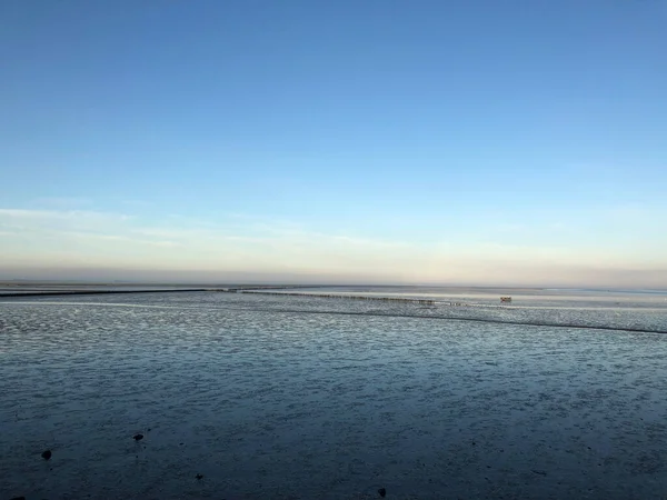 Laag Water Aan Waddenzee Friesland Nederland — Stockfoto