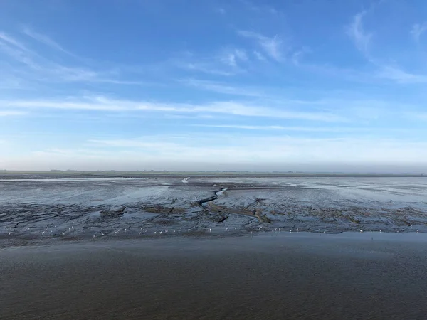 Mer Des Wadden Marée Basse Frise Pays Bas — Photo