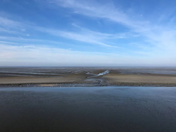 Mar Wadden Durante Marea Baja Frisia Países Bajos — Foto de Stock