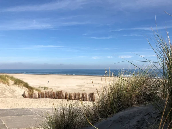 Beach Ameland Island Friesland Hollandia — Stock Fotó