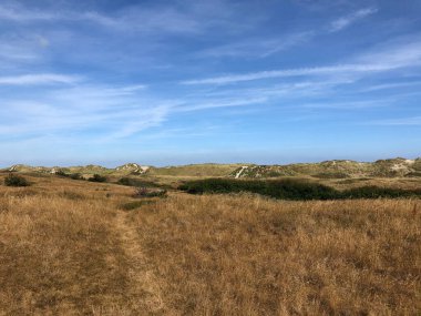 Friesland, Hollanda 'daki Ameland adasındaki kum tepeleri manzarası.