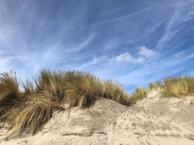 Friesland, Hollanda 'daki Ameland adasındaki kum tepeleri.