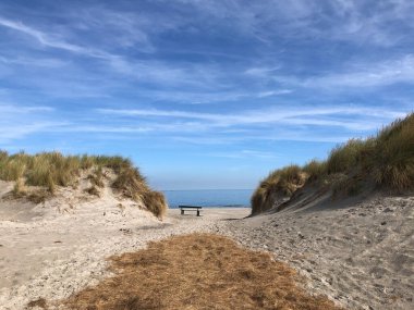 Friesland 'daki Ameland Adası' ndaki plaja giden yol Hollanda.