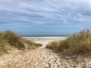 Friesland 'daki Ameland Adası' ndaki plaj. Hollanda.