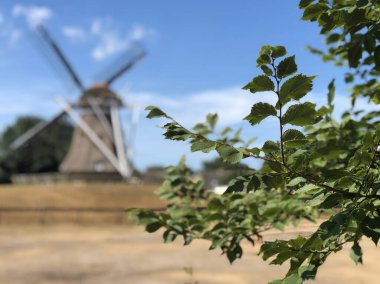 Friesland 'daki Ameland Adası' ndaki yel değirmeni Hollanda