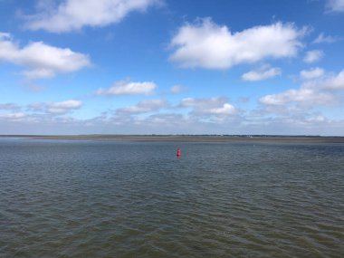 Hollanda 'daki Wadden Denizi