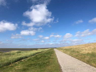 Hollanda 'da Schiermonnikoog' daki bir hendekte bisiklet yolu