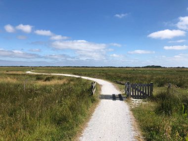Friesland, Hollanda 'da Schiermonnikoog' da bisiklet yolu